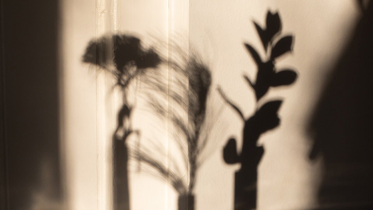 Can Plants Grow In Artificial Light