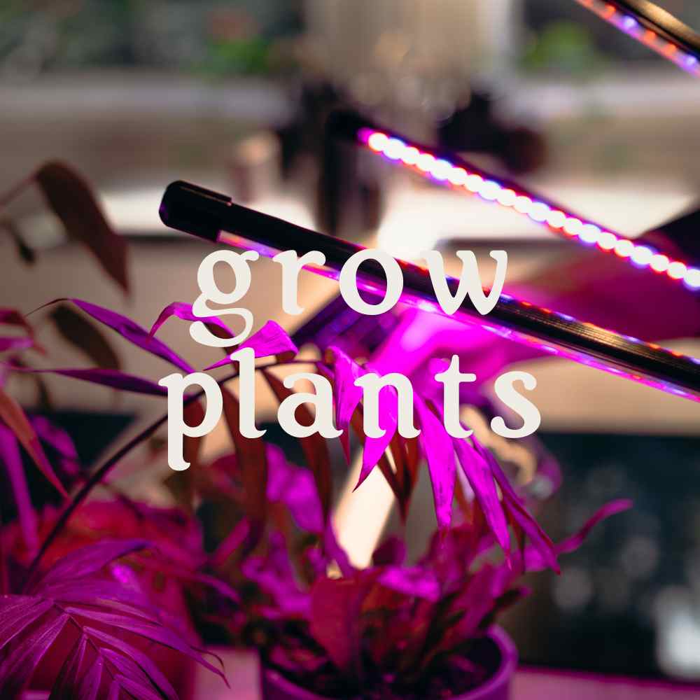 "grow plants" written in front of image of LED photosynthetic lights