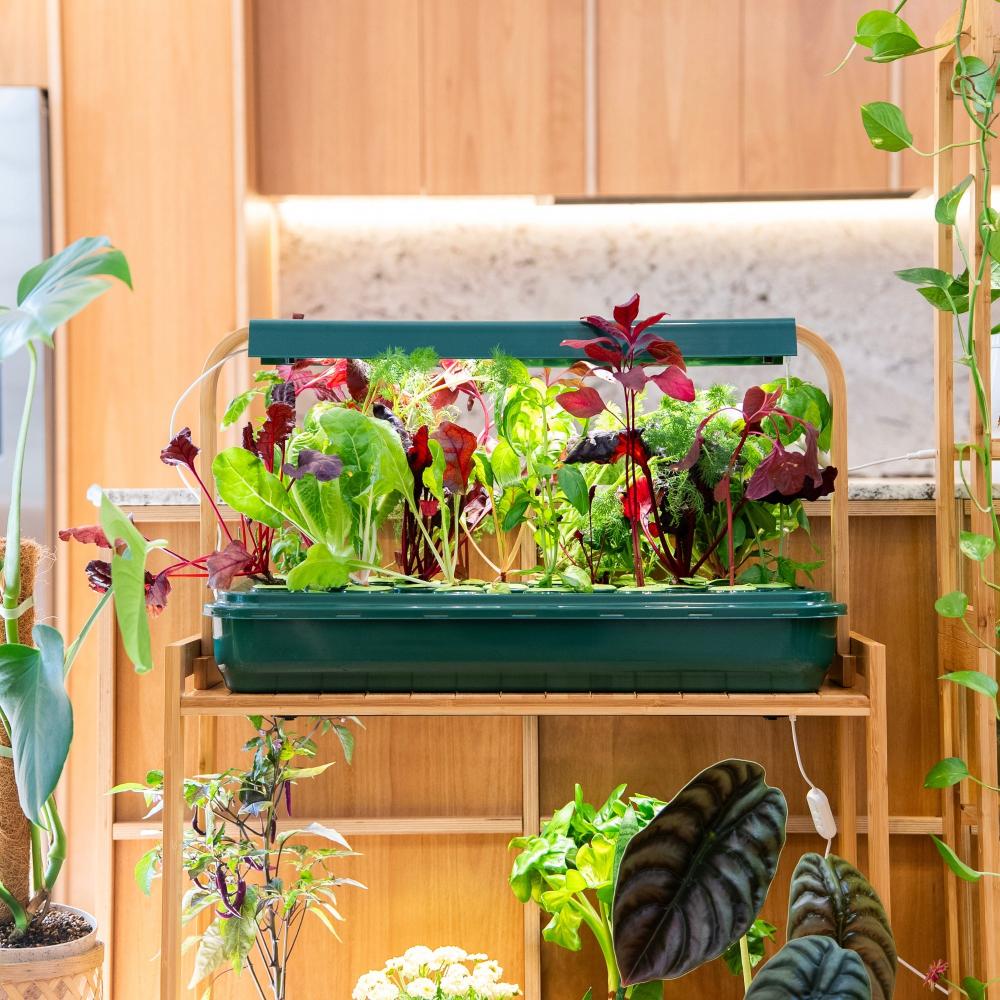 Sun Garden | Indoor hydroponic garden for herbs and leafy greens