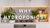 kitchen bench with food growing in hydroponic set up with text overlaid "why hydroponics"
