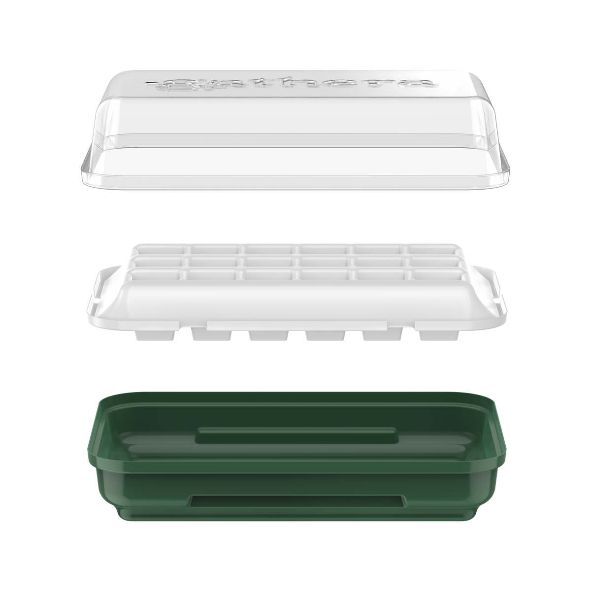 Greenhouse Seedling Tray