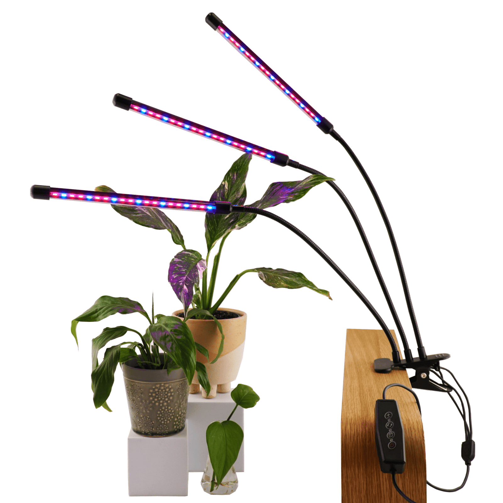 Clip-on Red/Blue LED Grow Light for indoor plants