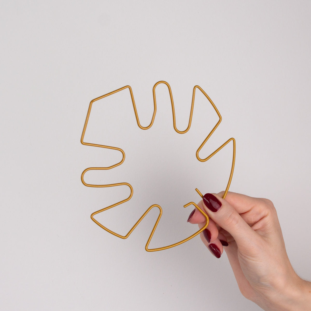 Houseplant Stem Supports