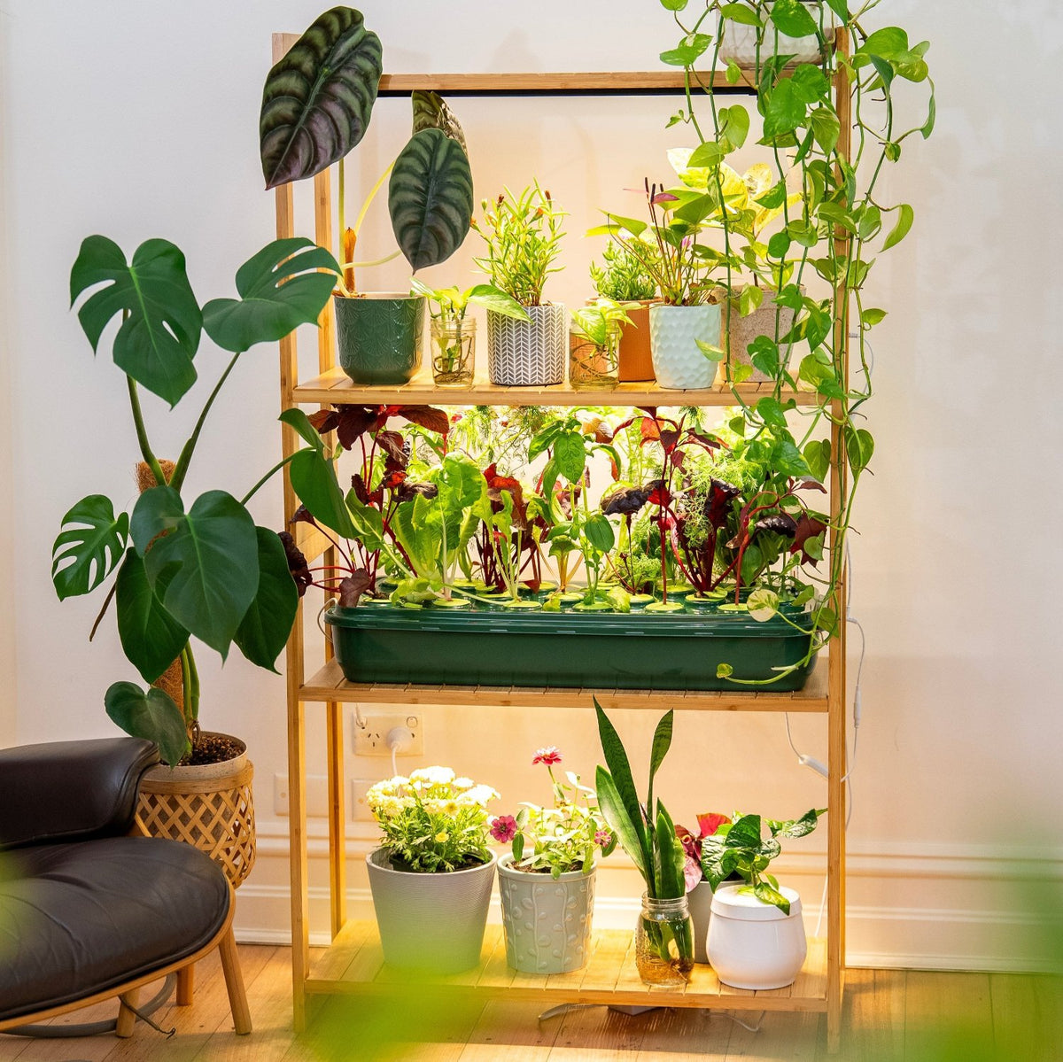 Sun shelf 3 indoor plant shelf with grow lights using a hydroponic basin for growing food