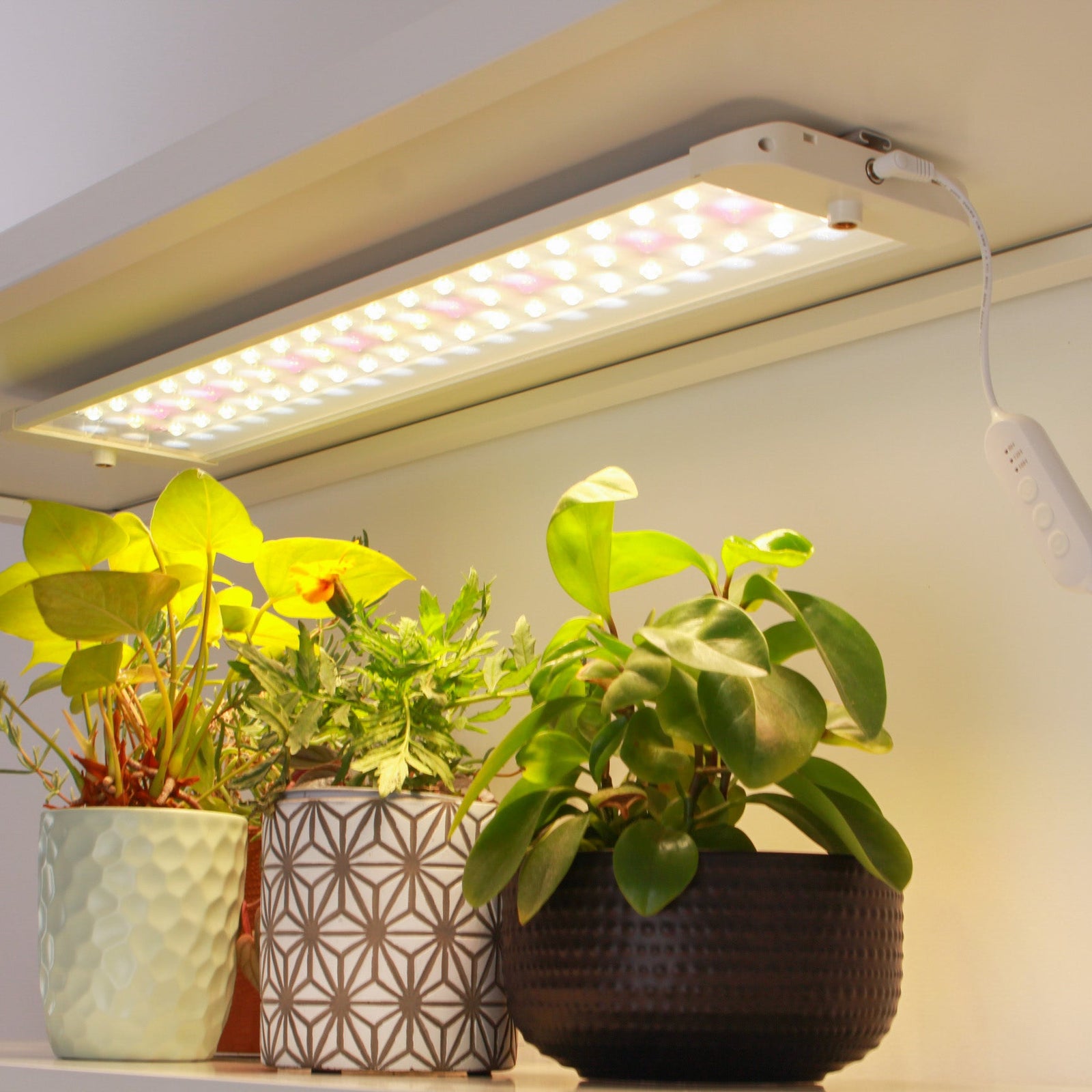 Sun Panel 3 | Full spectrum LED light panels | Clip onto shelves