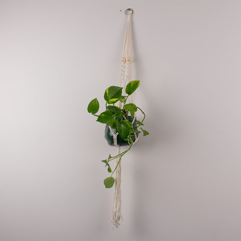macrame-pot-hanger-elegant-style