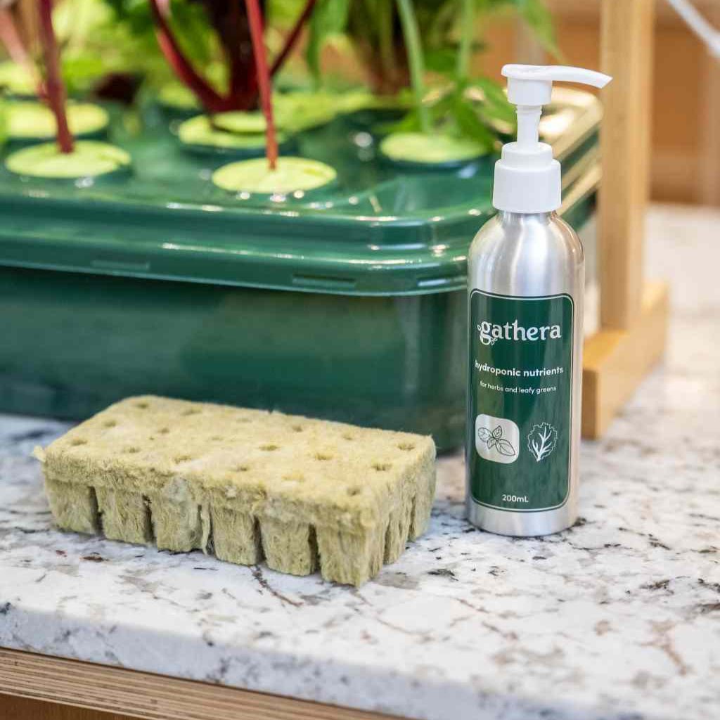 Rockwool Cubes - Grodan Brand