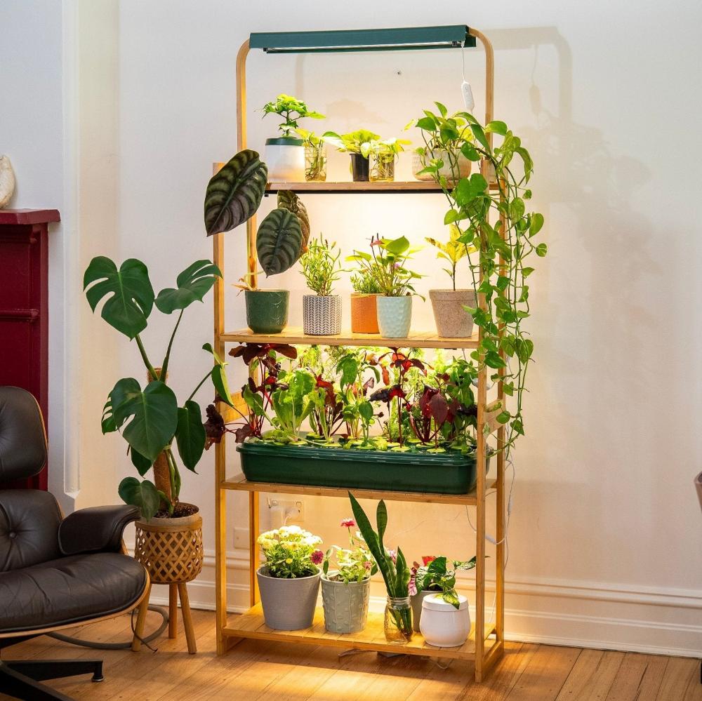 sun shelf 3 indoor plant shelf with grow lights in living room