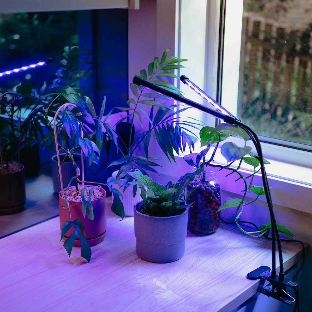 Clip-on Red/Blue LED Grow Light for indoor plants