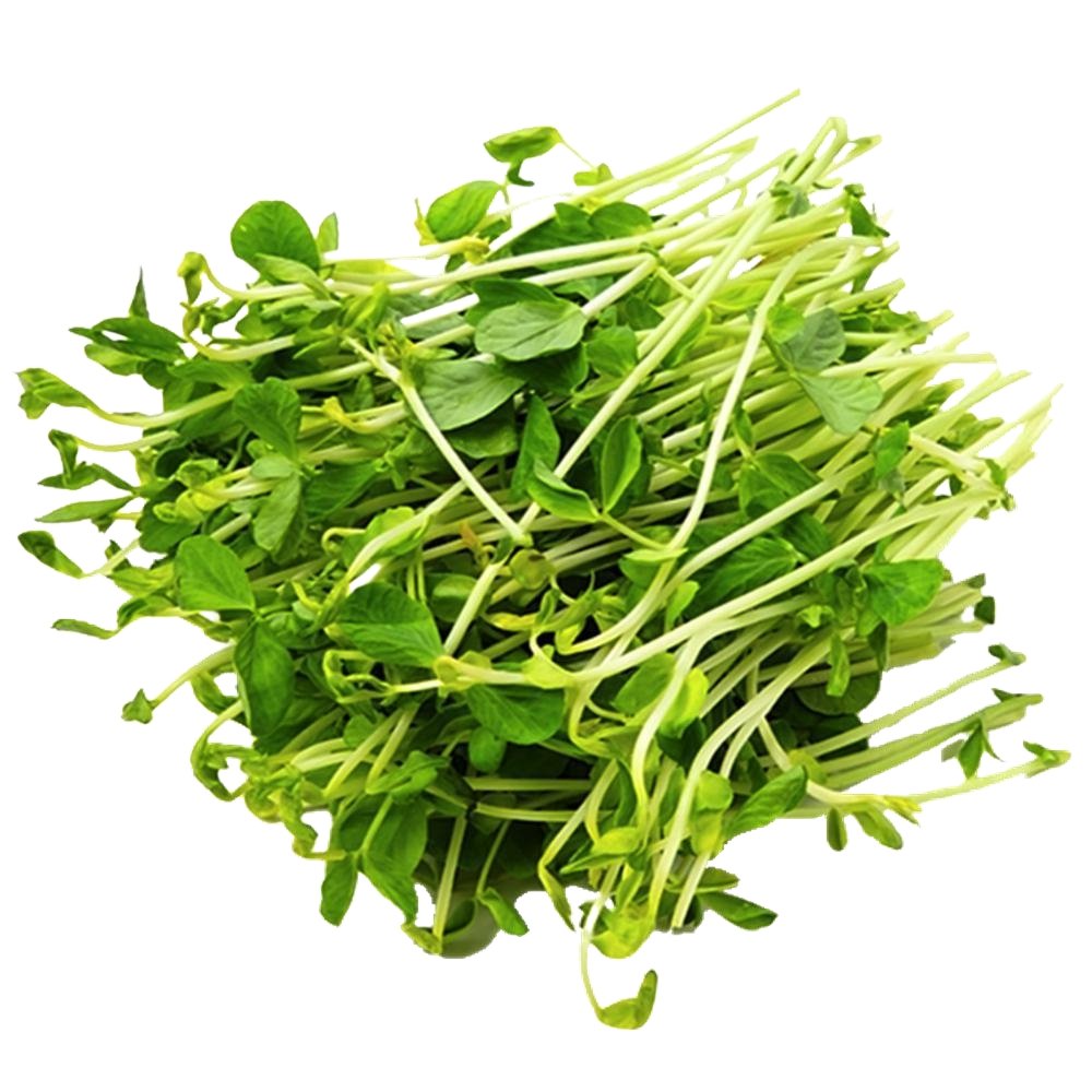 snow pea shoots